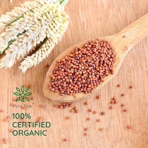 Pure Tree Pure Tree Certified Organic Ragi Whole | 1900 g | Finger Millet | Nachni | Nagli | Ragi Millet Gluten-Free | Bavto | Red Finger Millet | Ragi Whole Grain