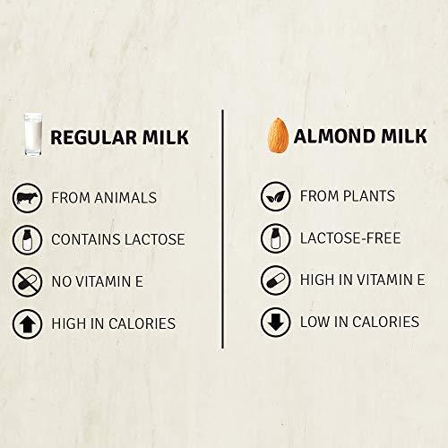 RAW PRESSERY Raw Pressery Almond Milk Plain Unsweetened 1 LTR (Pack of 2)