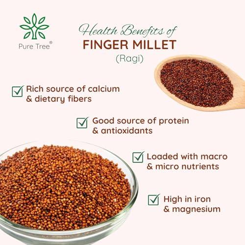 Pure Tree Pure Tree Certified Organic Ragi Whole | 1900 g | Finger Millet | Nachni | Nagli | Ragi Millet Gluten-Free | Bavto | Red Finger Millet | Ragi Whole Grain