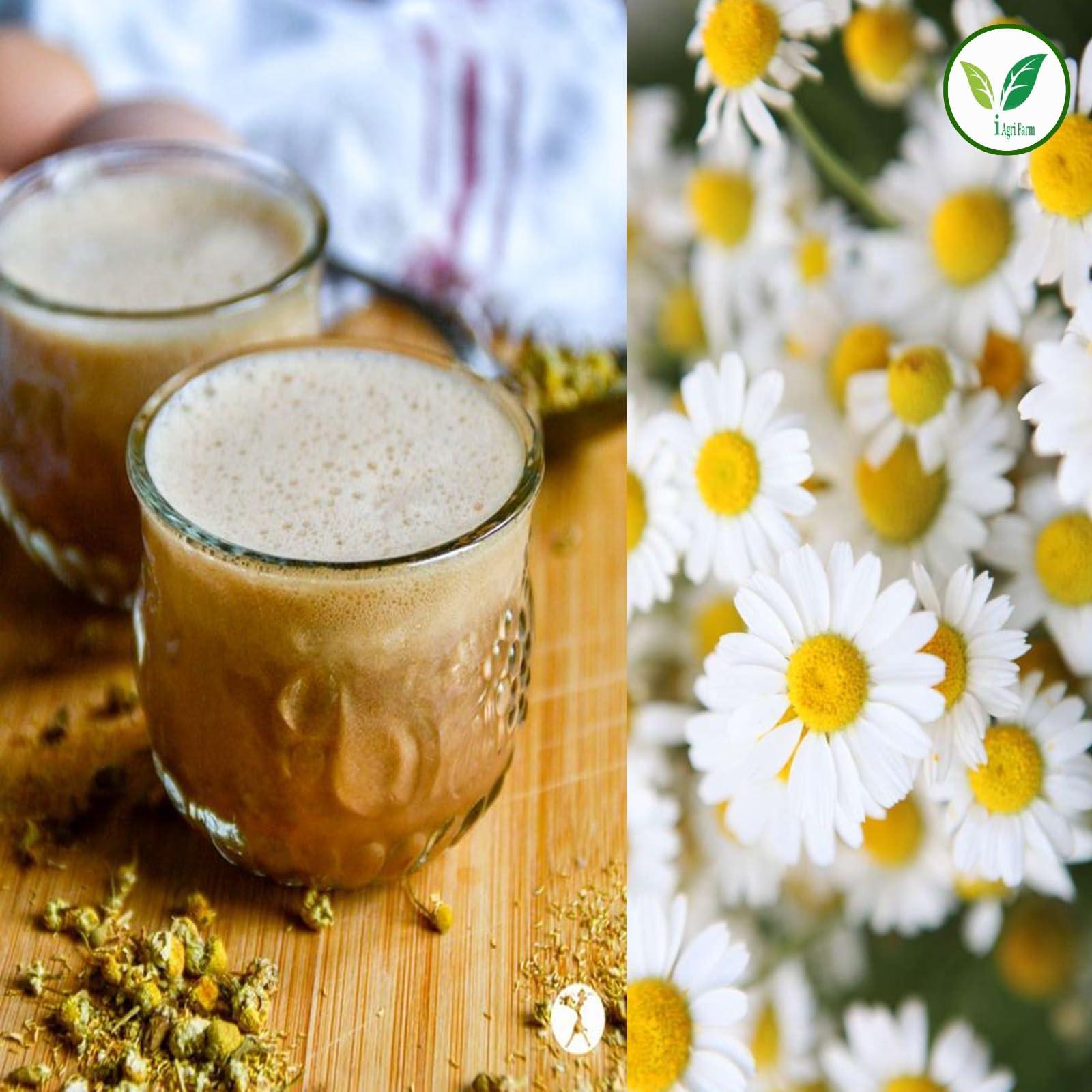 IAgriFarm Iagrifarm Chamomile Dried Flower - 450 g/Babuna/Camomile/Matricaria Chamomile Flower