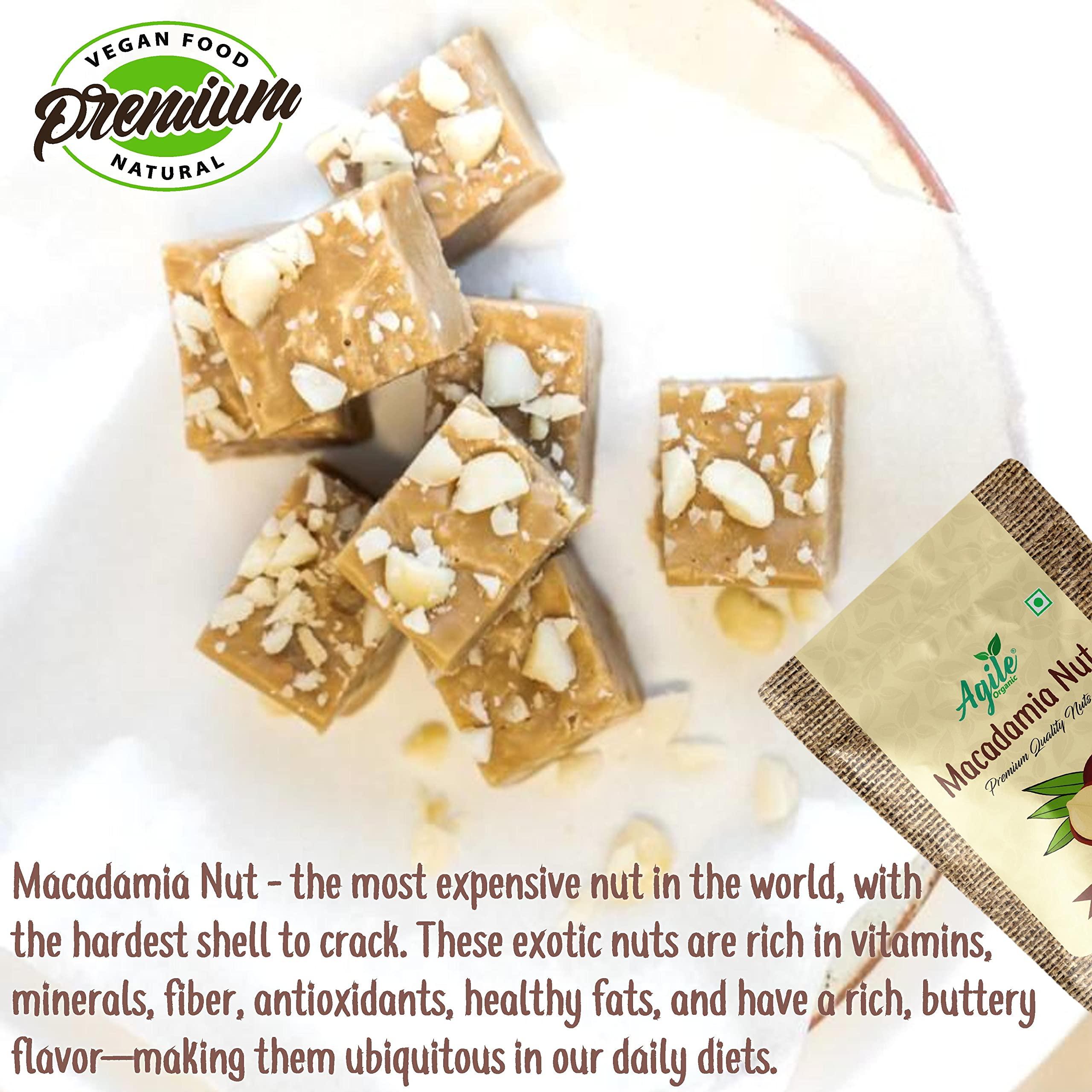 Agile Organic Agile Organic Premium Jumbo Hazel Nuts & Macadamia Nuts Combo | Turkish Hazelnut 100 Grams & Macadamia Nuts 100 Grams