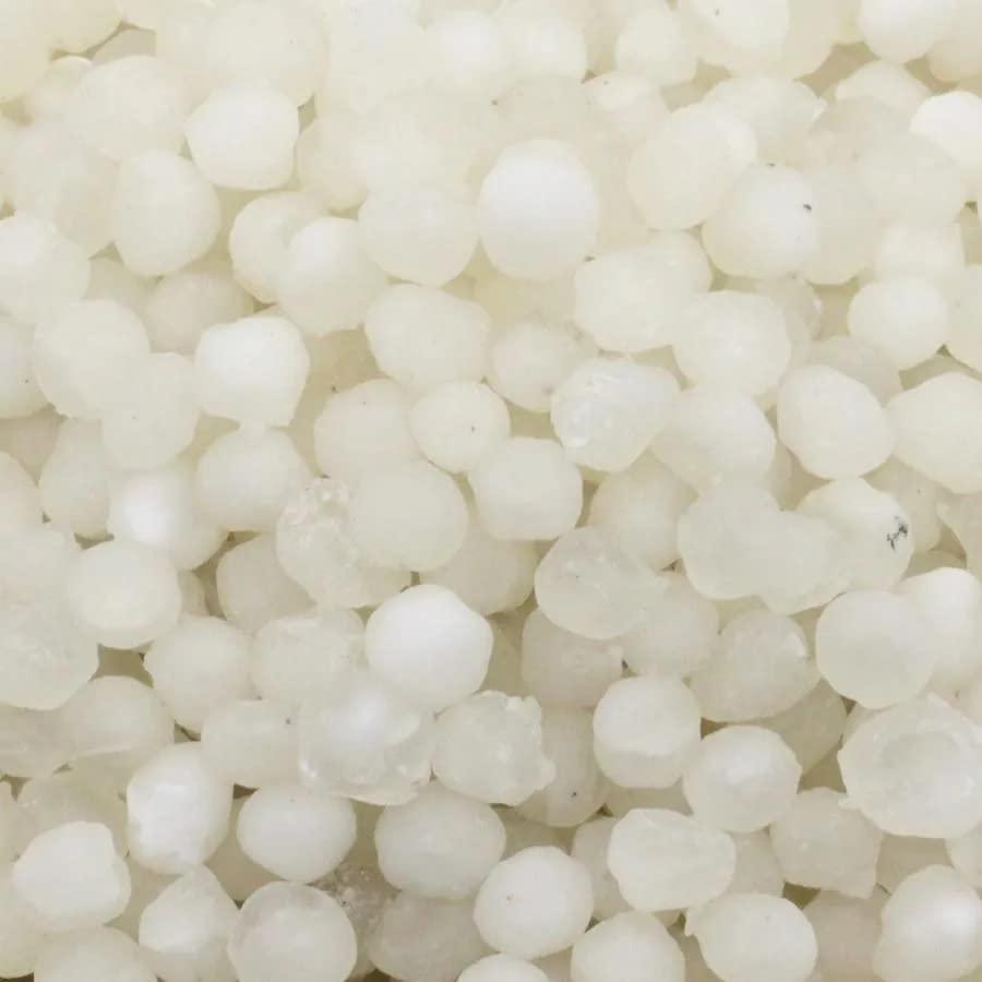 GO HUNGRY GO HUNGRY Nylon Sago | Nylon Sabudana (450 G)