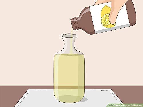 Pure Source India Pure Source India Reed Diffuser Oil Apple Cinnamon - 100 Ml, Reed Sticks - 8 Pieces, Natural White