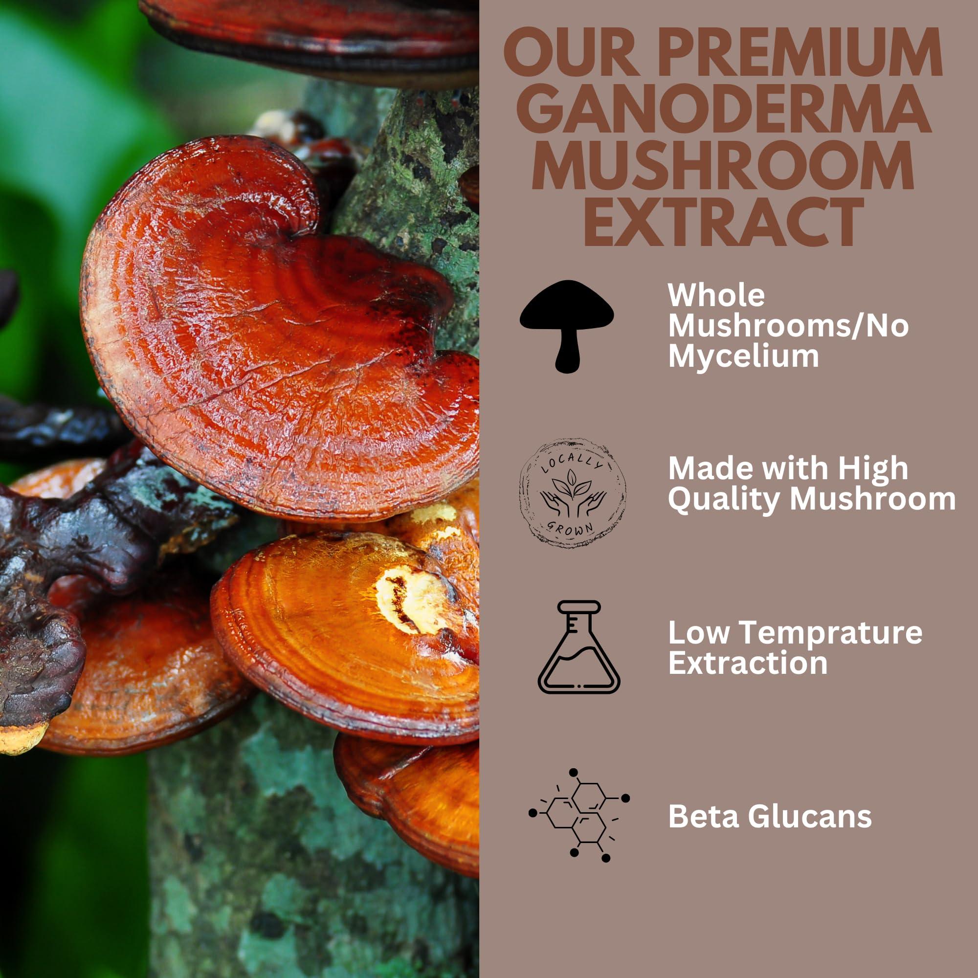 MUSHROOM ESSENCE MUSHROOM ESSENCE Ganoderma Red Reishi Mushroom Powder Extract 60g - Reishi Mushroom Extract for Immune Support and overall wellness
