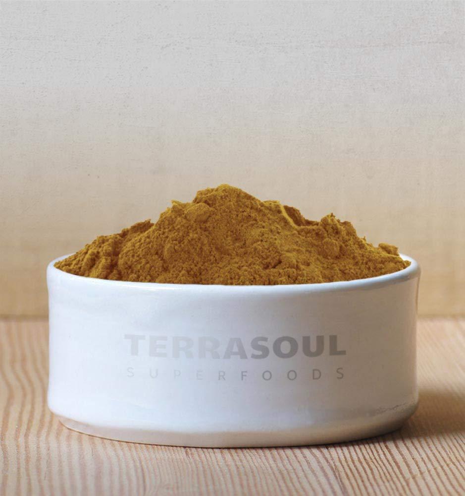 Terrasoul Superfoods Red Reishi Mushroom Powder 4:1 Extract (Organic), 8-ounce