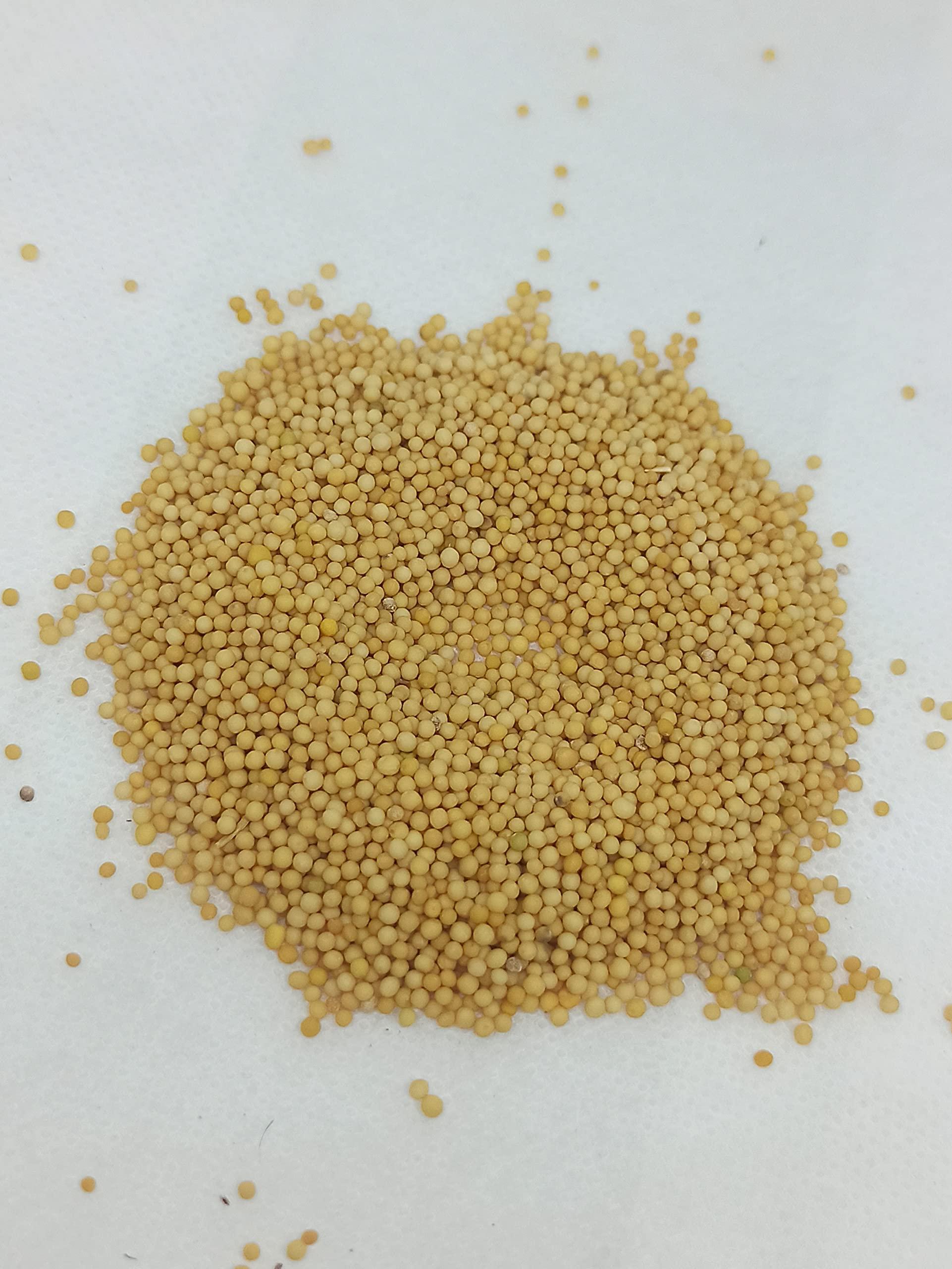 Generic NATURALIFE\'S-*VEN KADUGU*-YELLOW MUSTARD SEEDS RAW/ (250 GRAMS)