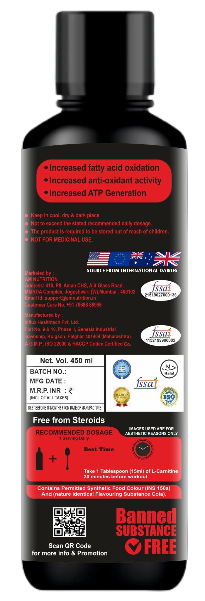 AM NUTRITION AM NUTRITION L-Carnitine 3000mg With Vitamin B5 | Zero Sugar, Zero Carb | Helps Convert Fat Into Energy | Pre & Post Workout Supplement For Men & Women- 450 Ml (30 Servings) (Blueberry)