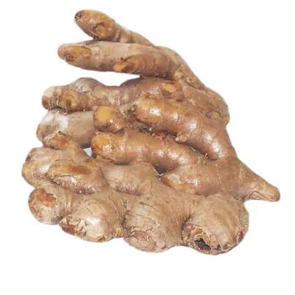 Nutrixia Food Dry Ginger-Sukhi Adrak/Zingiber officinale/Sunth/Sunt (500 Gms)