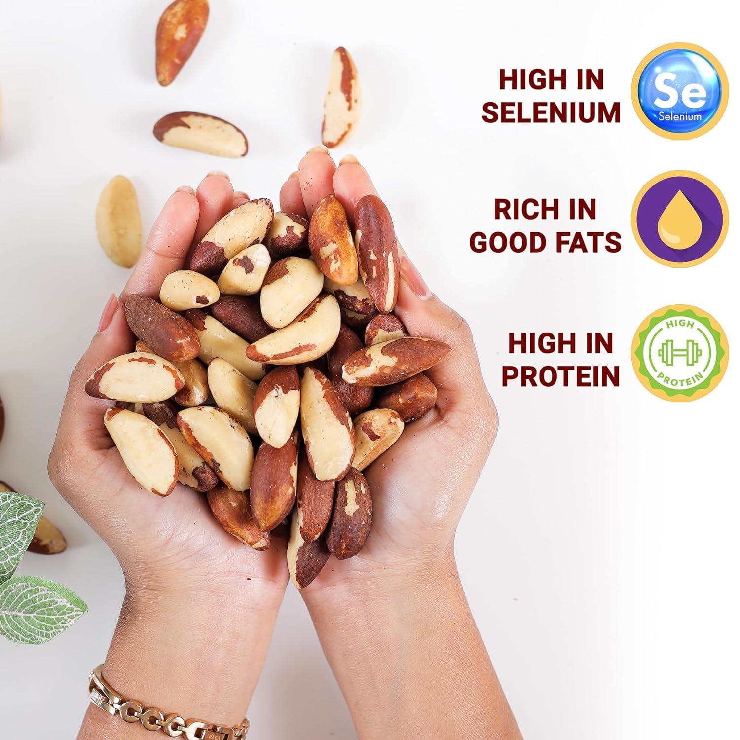 urban platter Urban Platter Exotic Brazil Nuts, 1Kg [ Grade A | Rich in Selenium]