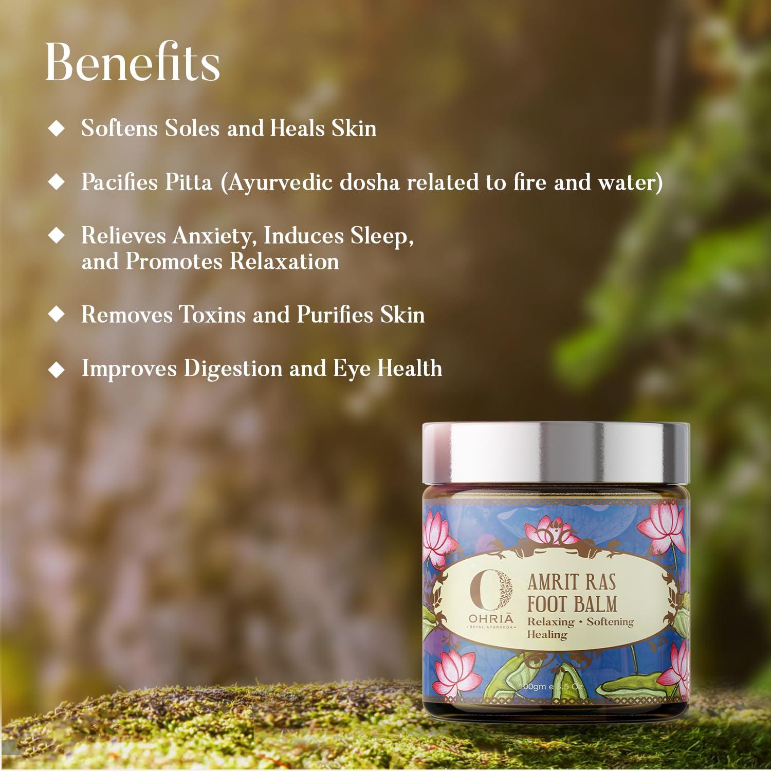 CPEX CPEX Portable 2 Wheel Comfortable Non-Slip Steel/Plastic Handles Abdominal Exercise Roller Exercise Tool Fitness Equipment with Pad