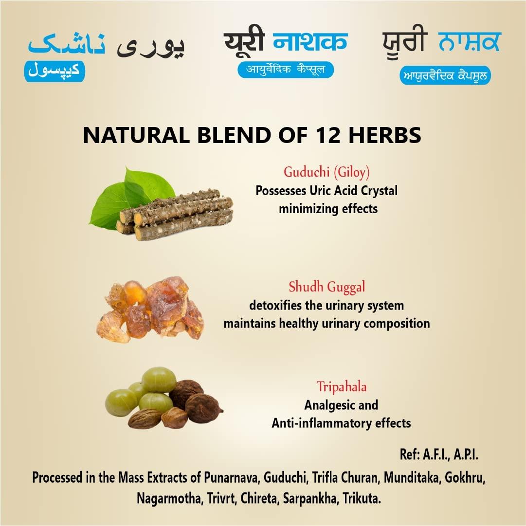 DR. ASMA HERBALS Uri Nashak Ayurvedic Capsule | Controls High Uric Acid, Joint Pain Problems, Cleanses Uric Acid (60 capsule x 4 Bottles= 240 capsule) | Mfd. by Dr. Asma Herbals Since 1972