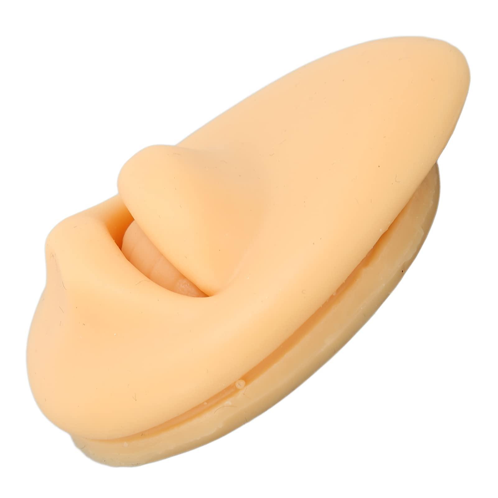 Generic Generic Fake Mouth Model, Lifelike Three Dimensional Teaching Tool Human Mouth Model Flexible for Body Part Display\'