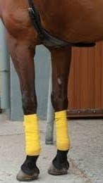 Generic Horse Leg Bandage/Horse Leg wrap (Set of 4) Light Weight Yellow