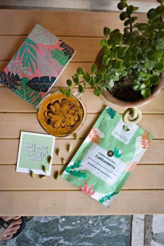 Beany Boy Beany Boy Cardamiya combo of 2 - Cardamom Premium Flavoured Instant Coffee