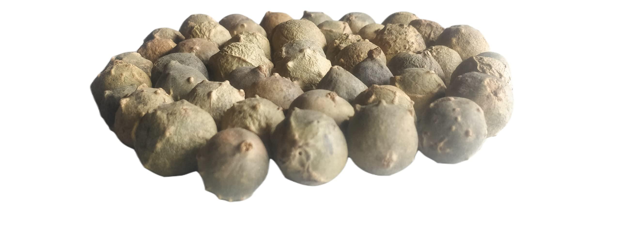Ayushiv Ayushiv MAJUPHAL (QUERCUS INFECTORIA) - MANJAKANI - OAK GALL - GALLNUTS - Dyer's Oak - BLUE JACK - NUT GALLS (100 GM)