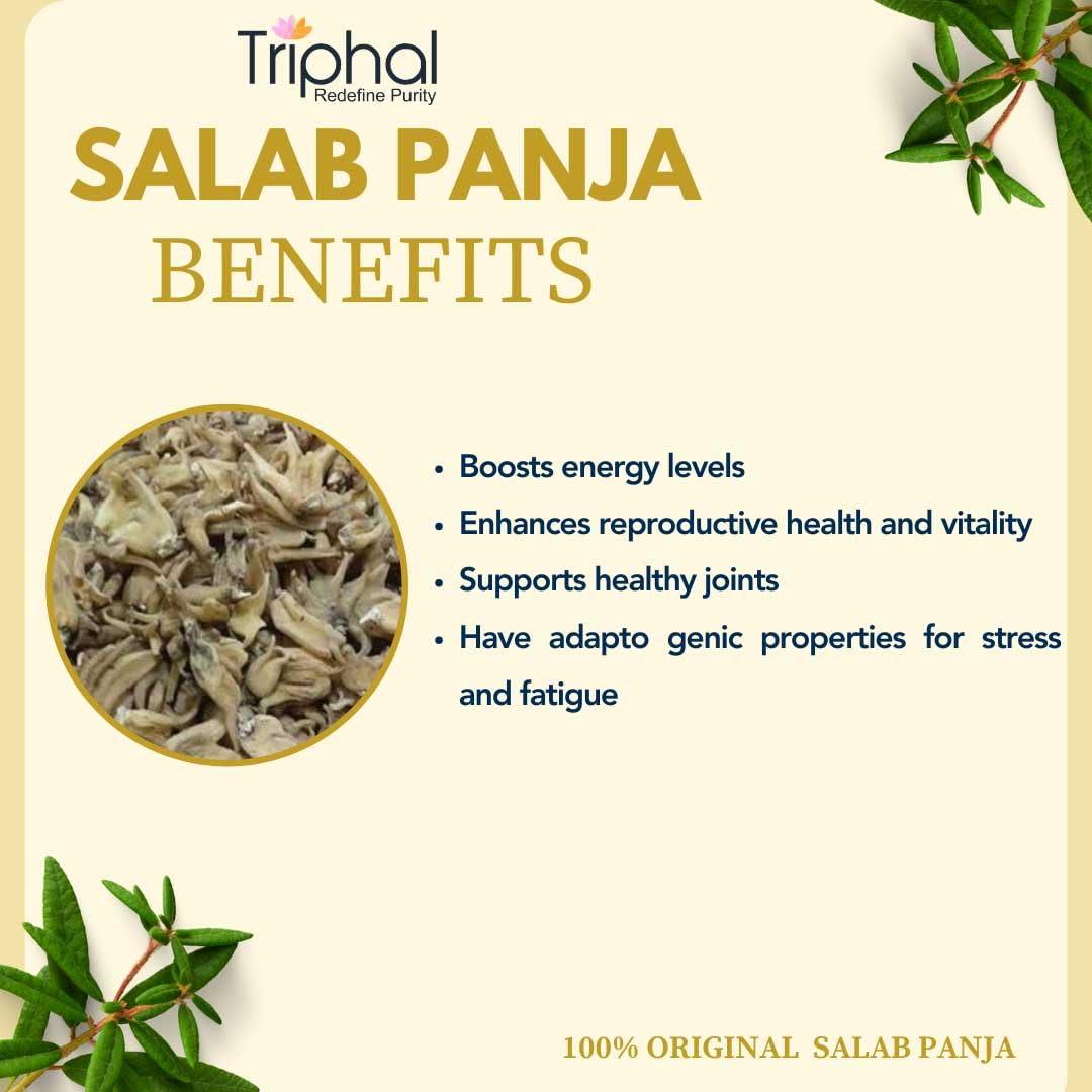 Triphal TRIPHAL Salab Panja/Salam Panja/Marsh Orchid | Original Herb | Fresh Pack (10g)