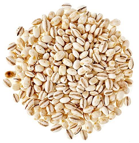 Pmw Pmw - Jar Pack - Barley Grains - Jav - Cleaned - Hordeum Vulgare - 500 Grams