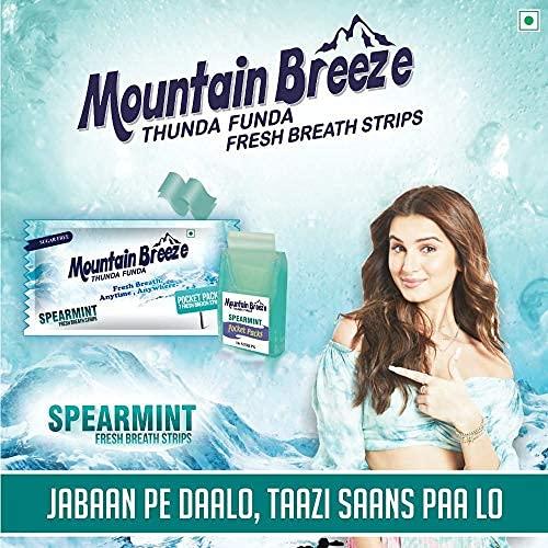 Mountain Breeze Mountain Breeze Sugar-Free Spearmint Fresh Breath Strips JAR 7 Strips each cassette (Pack of 40) 40 x 7 = 280 Strips