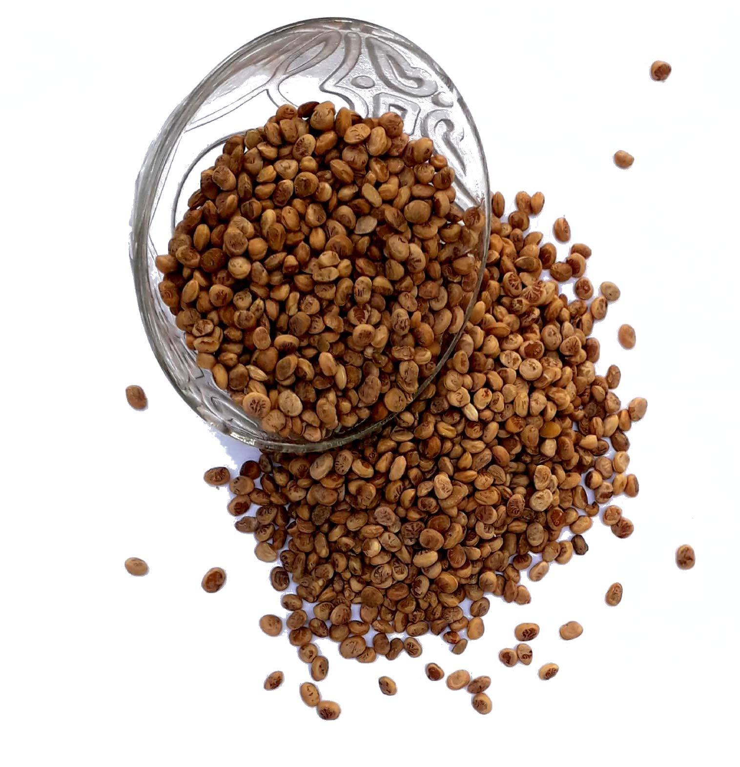 Shivi Products Shiviproducts Almondette Seeds (Charoli or Chironji) (250 gm)