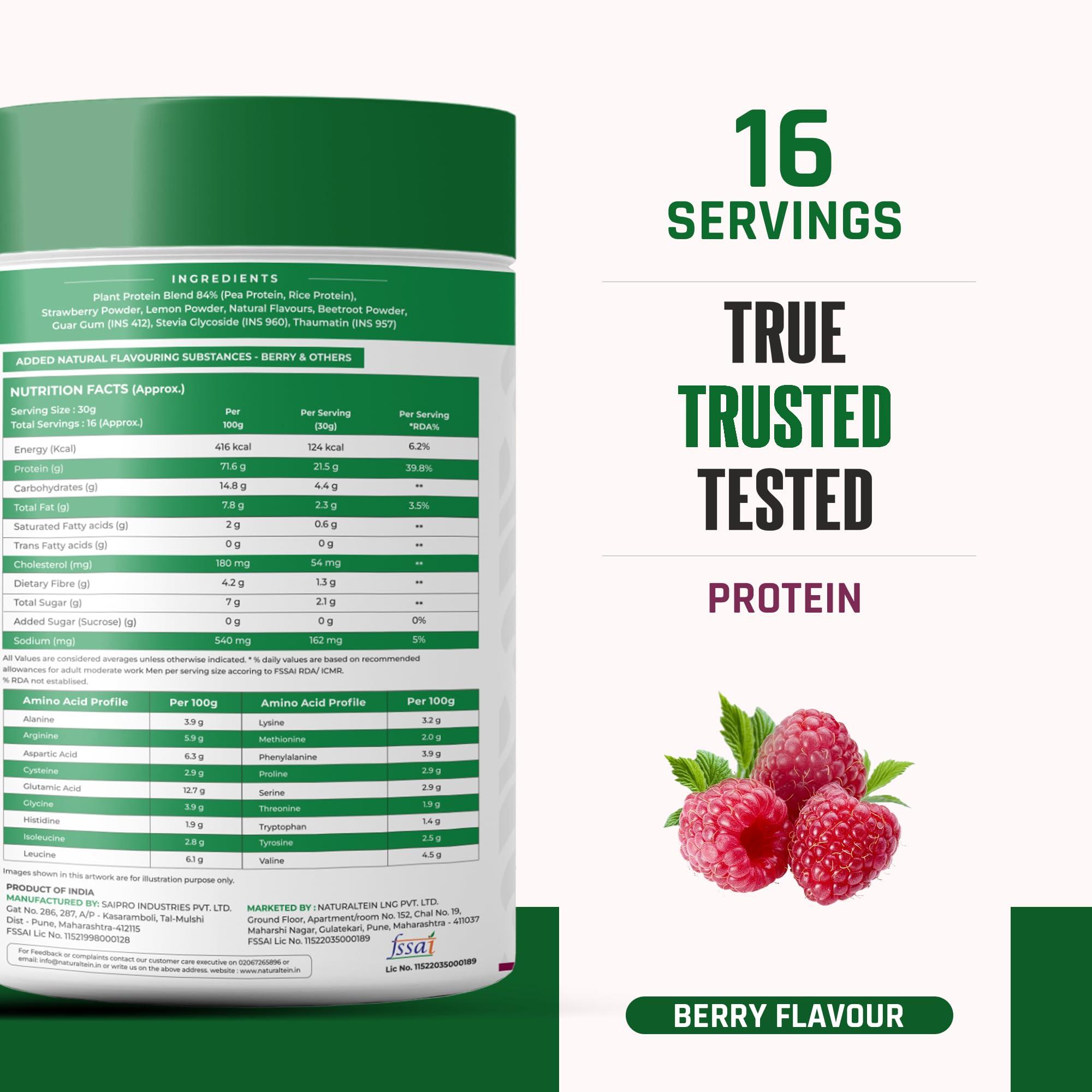 NATURALTEIN NATURALTEIN 100% Natural Plant Protein Berry (22.1 G Protein)