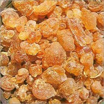 Xetomos Xetomos Babool Gond Keekar Gond Kikar Gum Babul Gum Acacia Arabica Tree Gum 100gms