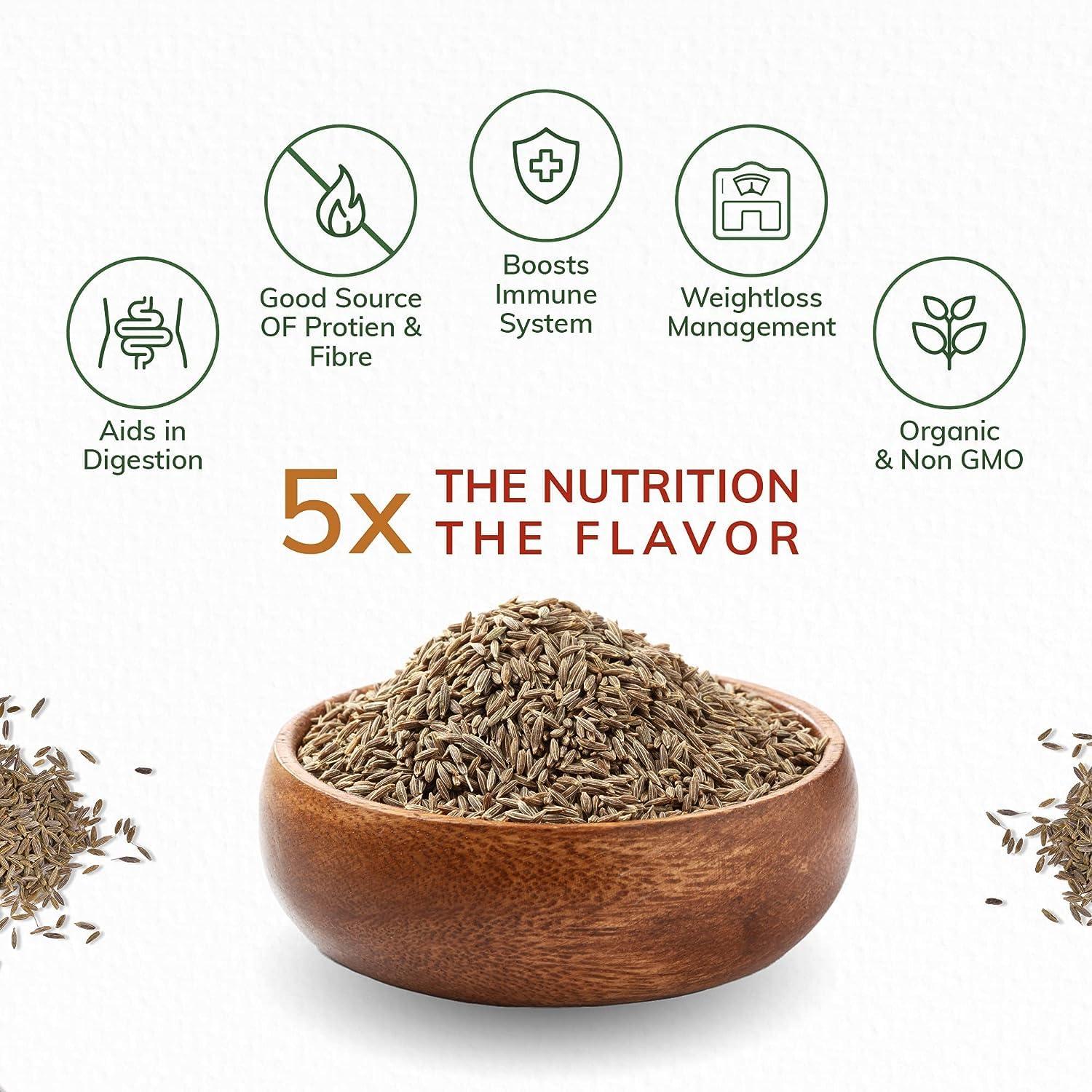 PoshtikSutra PoshtikSutra Cumin Seeds (Jeera) - 100g of Pure Goodness