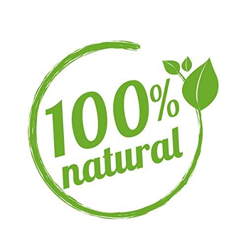 Avenn Avenn Jumbo Salted Peanuts | Gujrat Special Roasted Mungfali | Jumbo Groundnut Singdana Seed | Salted Sing with Husk | Fresh Grade A Bharuch Khari Sing Skin Removed (Peeled Skin, 600 GM)