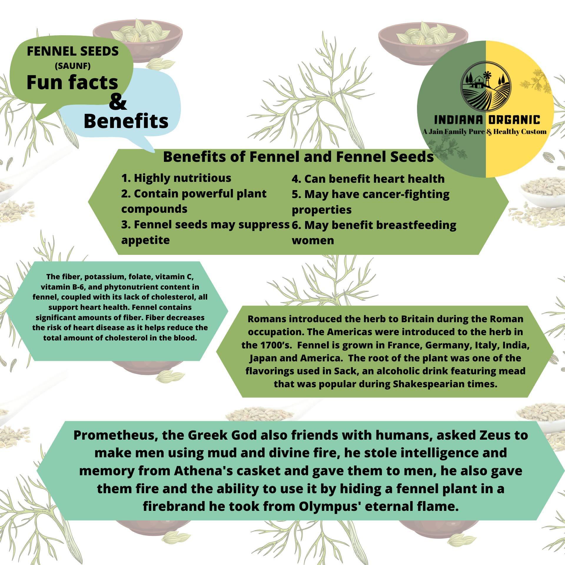 INDIANA ORGANIC Indiana Organic Combo, Cumin Seeds (Jeera) - 200 Gram, Fennel Seeds (Saunf) - 200 Gram Each