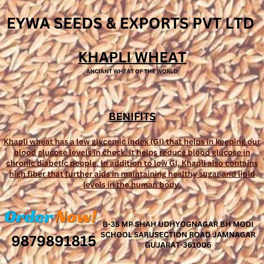G7 GRAINS KHAPLI WHEAT FLOUR (1 KG) for eating and cooking | khapli gehu atta | Produce of India from Organic Farms | BY G7 GRAINS