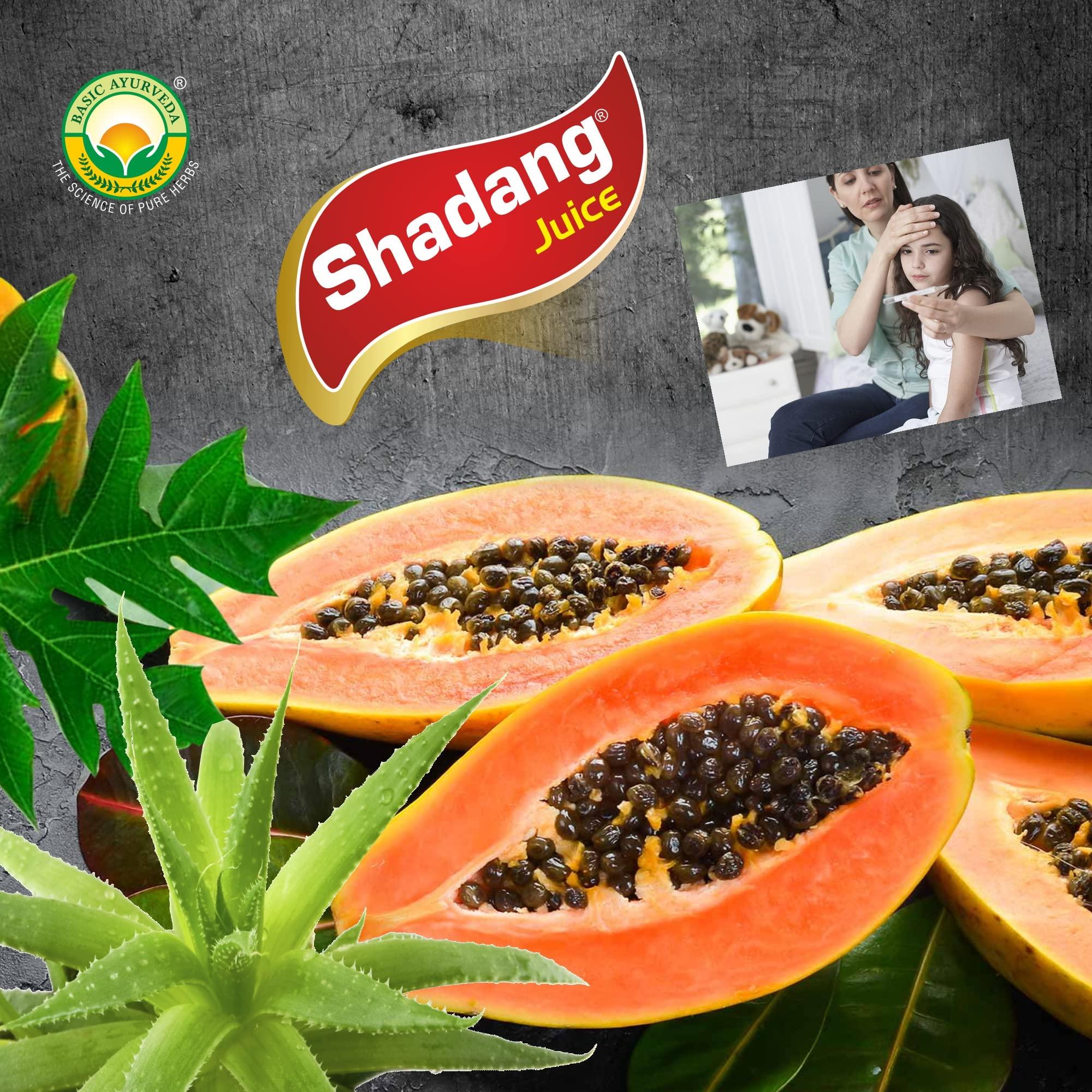 JRC JRC Chironji, Charoli Dry Fruits 100 Gms