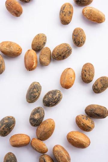 Generic GODSOWNCOUNTRYIN Croton Penduliflorus Seeds - Aworoso Seed, Croton Tiglium Seed, Habbatul Muluk, Jamalgota Medicinal Seeds for Herbal Healing 200g