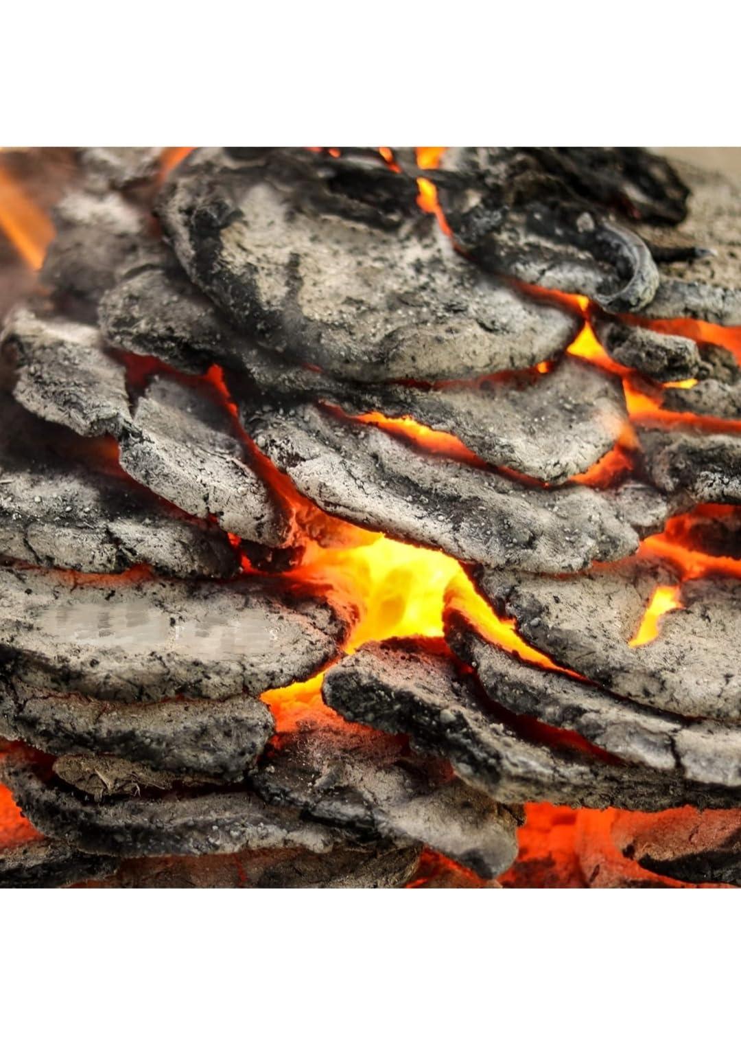 Generic Wood and Cow Dung Ash, Vibhuti, Sacred Ash Powder (960 Grams) Natural Made and (Fine Filtered Ash)