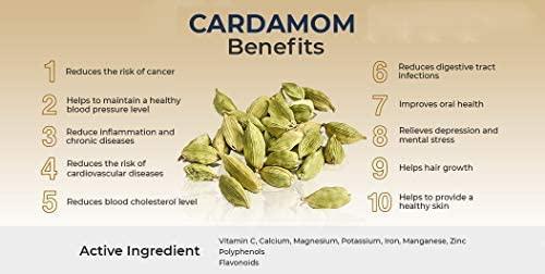 Western Ghats Spices Western Ghats Spices Kerala Premium Whole Green Cardamom, Elaichi 100 Gram (Bold) | Sabut Choti Hari Elaichi | Aroma Lock