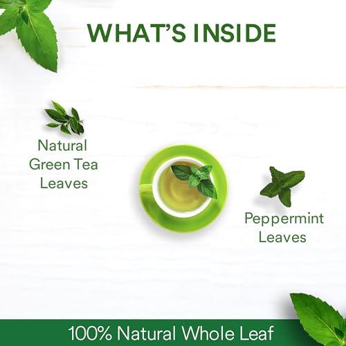 The Tea Ark The Tea Ark Mint Green Tea (50g) Tin Loose Leaves | Natural Herbal Tea | Whole Leaf Blend (25 Servings) (Mint Green Tea)