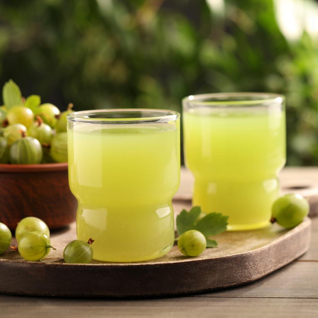 Village-Organica Village-Organica Organic Amla Powder | Indian Gooseberry Powder for Hair & Skin Care (500gram)