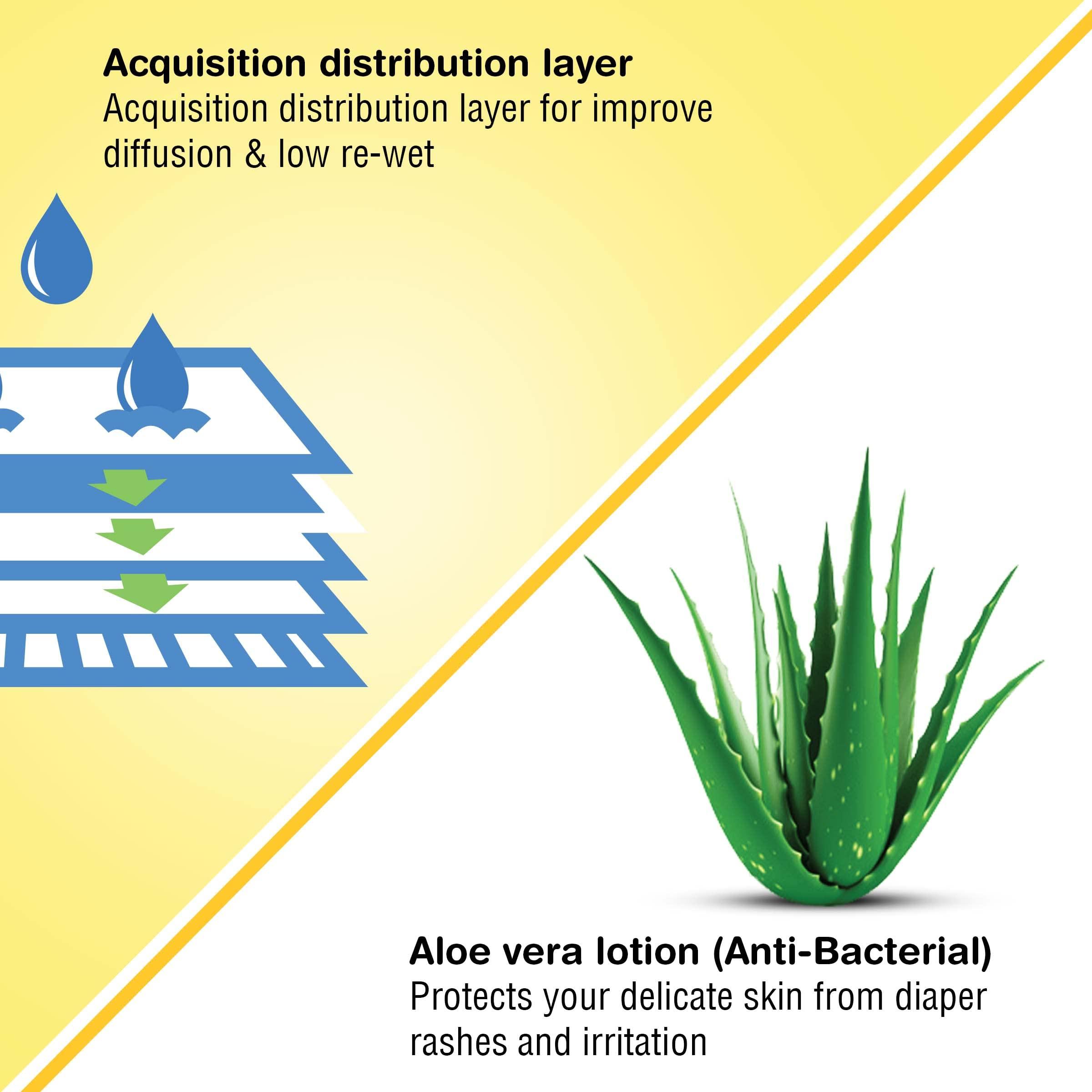 KareIn KareIn Overnight Adult Diaper Pants, Medium 75-100 Cm (30\"- 40\"),30 Count, Unisex, Leakproof, Elastic Waist, With Aloe Vera Lotion, Anti-Bacterial, ADL, Wetness Indicator, Pack of 3