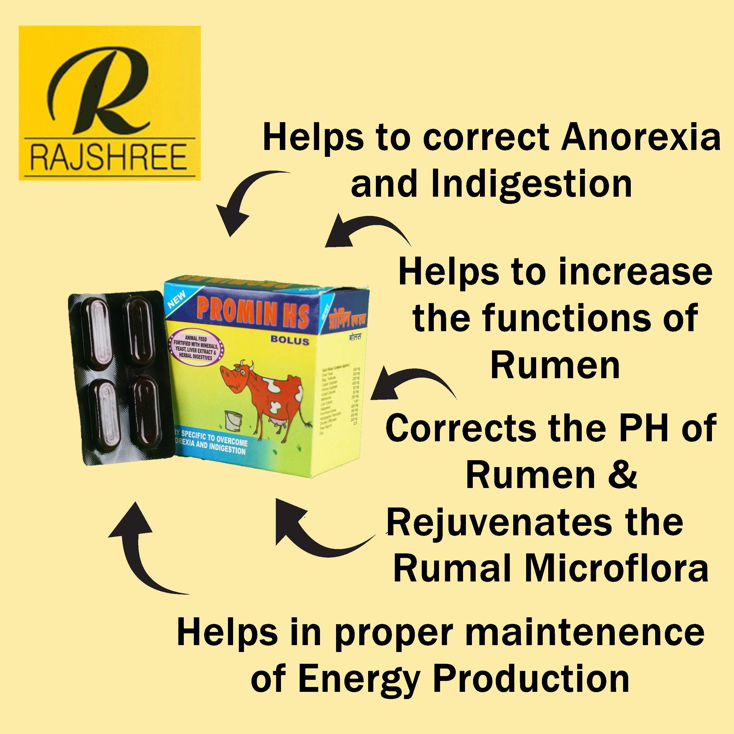 Rajshree Supplements PROMIN HS Herbal Feed Supplement aids Rumination and Appetite Generation