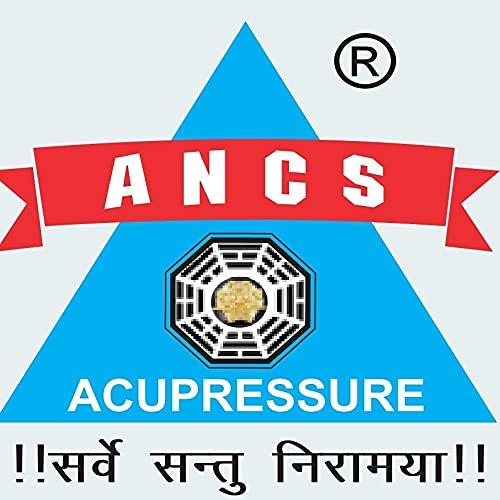 ANCS ANCS Acupressure Khadau Wooden Sandal Wooden Khadau paduka sandal Size-(9) pair