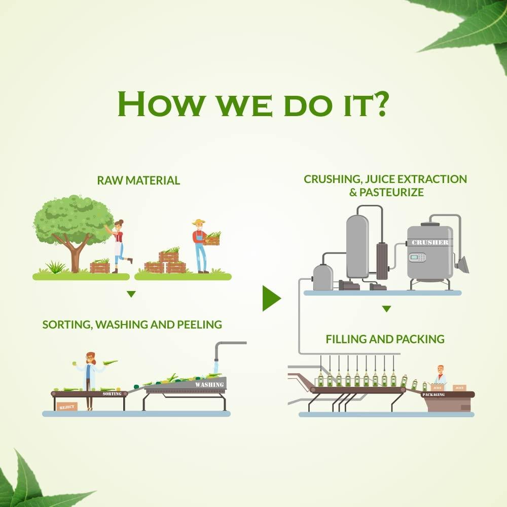 Axiom Axiom Gokhuru Juice 500ml | Immunity Booster | No Added Colour | No Added Flavour | WHO GMP GLP Certified Product