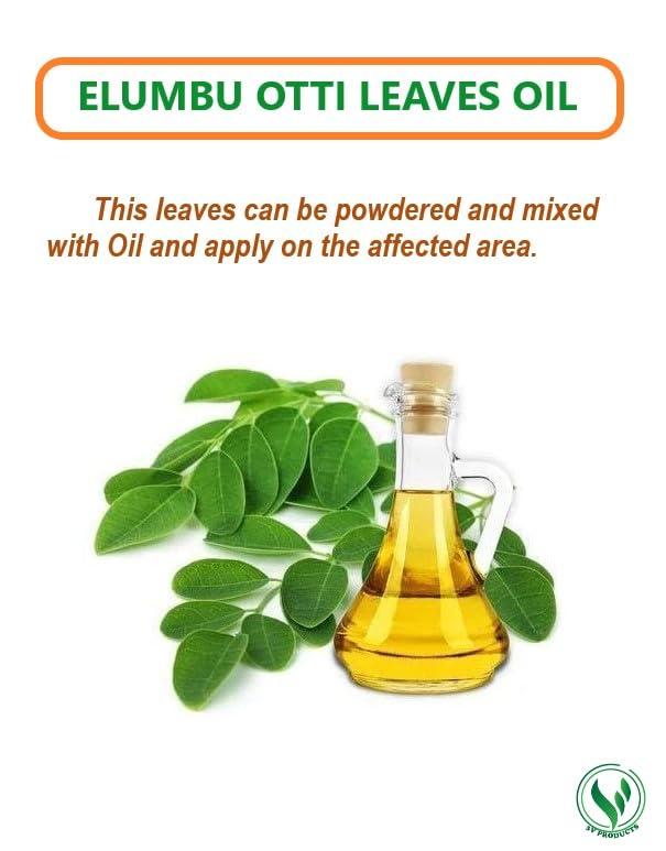 3V PRODUCTS 3V PRODUCTS Elumbotti Ilai Powder 10g | Bone joint Leaves | Murikootipacha | Ormocarpum Cochinchinense for Bone fracture | Bone Strength | Joint Pain