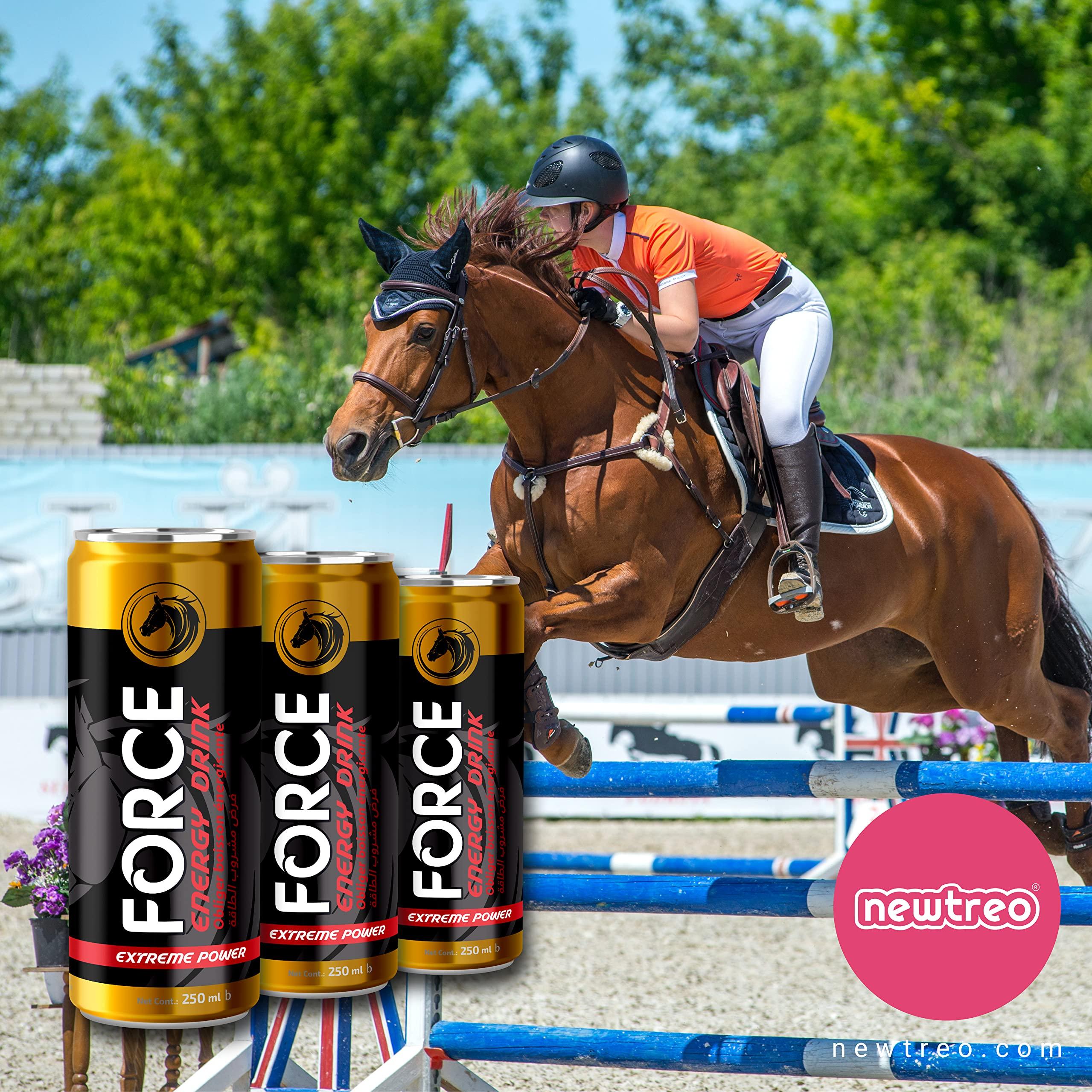 FORCE ENERGY DRINK FORCE ENERGY DRINK | Imported | 75mg caffeine, Vitamin E| Extreme Power | 6 x 250ml ml can | Pack of 6 Cans