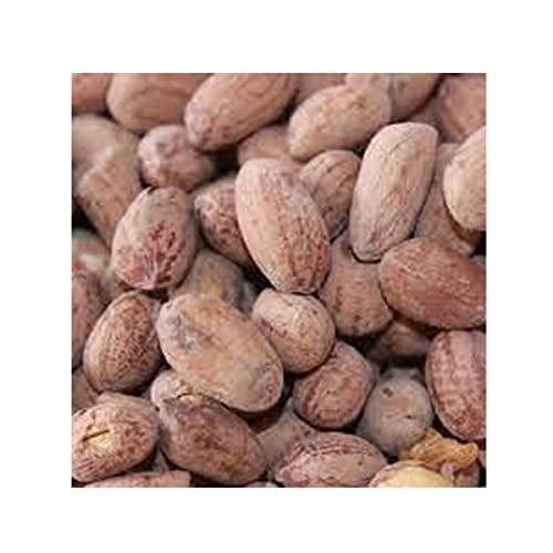 Avenn Avenn Jumbo Salted Peanuts | Gujrat Special Roasted Mungfali | Jumbo Groundnut Singdana Seed | Salted Sing with Husk | Fresh Grade A Bharuch Khari Sing Skin Removed (1.5 KG)