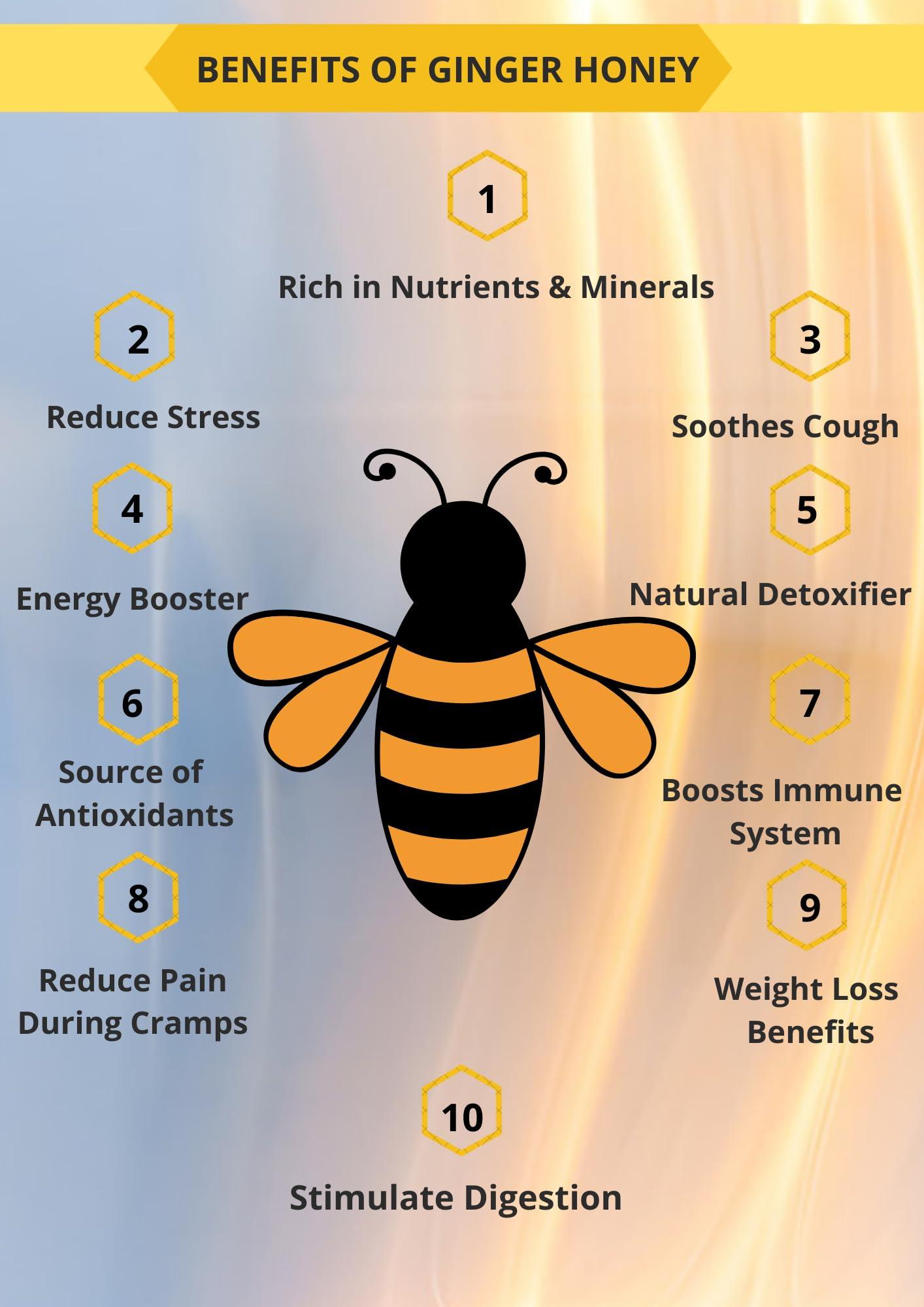 FUTURE ORGANICS –Eat Oragnic! Be Organic!! Future Organics Premium Honey with Ginger - 350 Gram | Delicious Honey Made with 100% Pure, Natural & Organic Ingredients | No Artificial Color | No Added Sugar