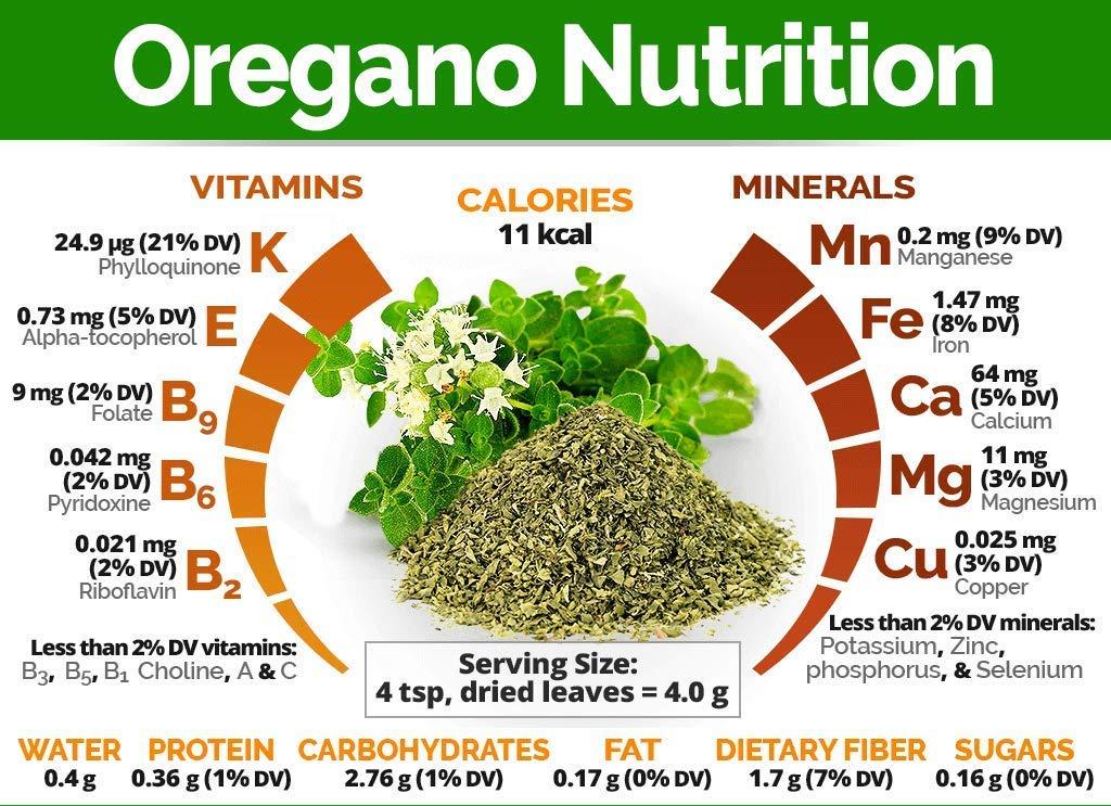 Marwadi Seth Marwadi Seth Dried Oregano Leaves for Pizza, Italian Foods - 100 Grams