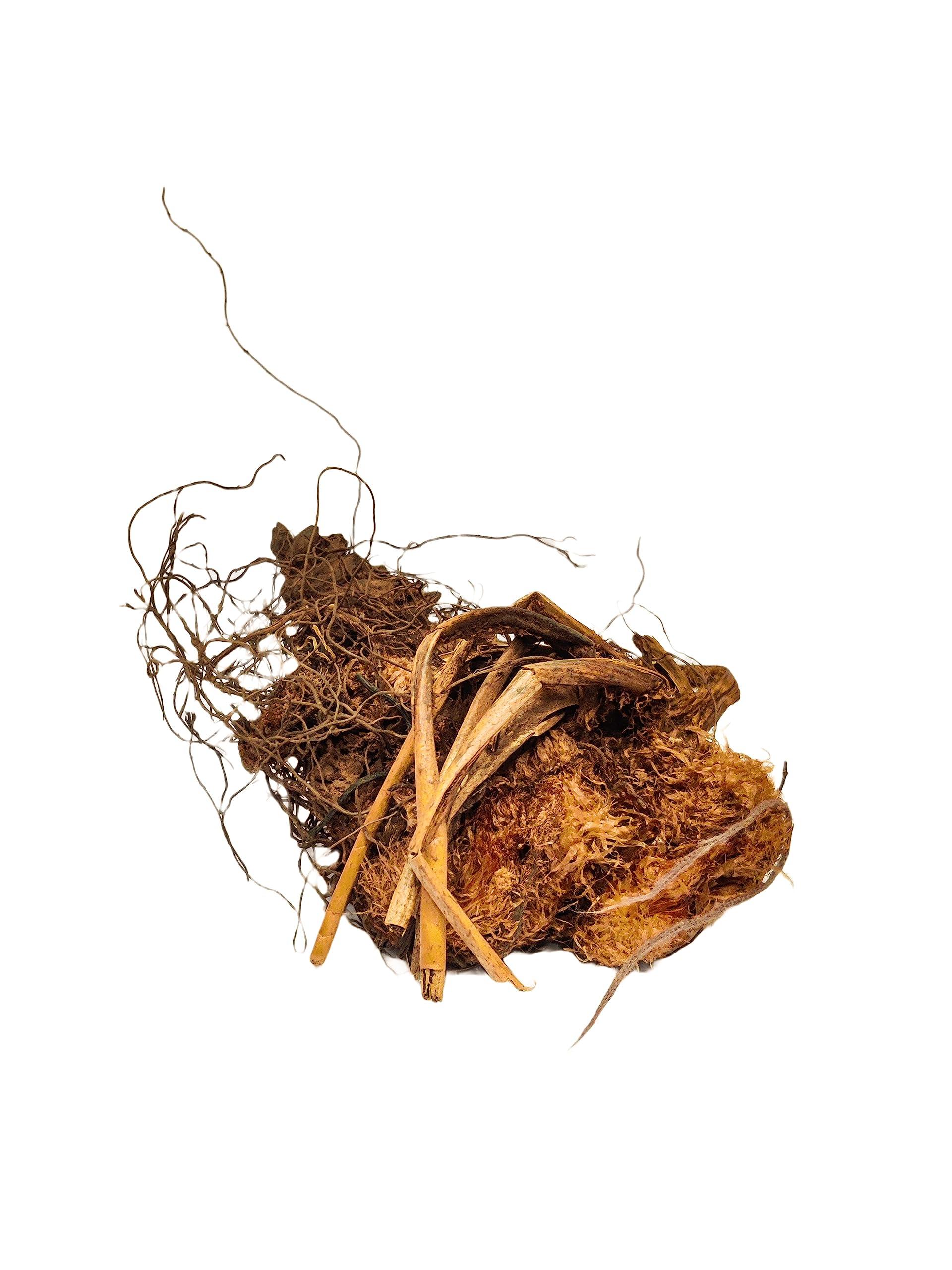 Generic PINAK || 100% Orignal Organic Jatashankari Roots || Pure Jatashankari Herb || JATASHANKAR || (Dried) || ||