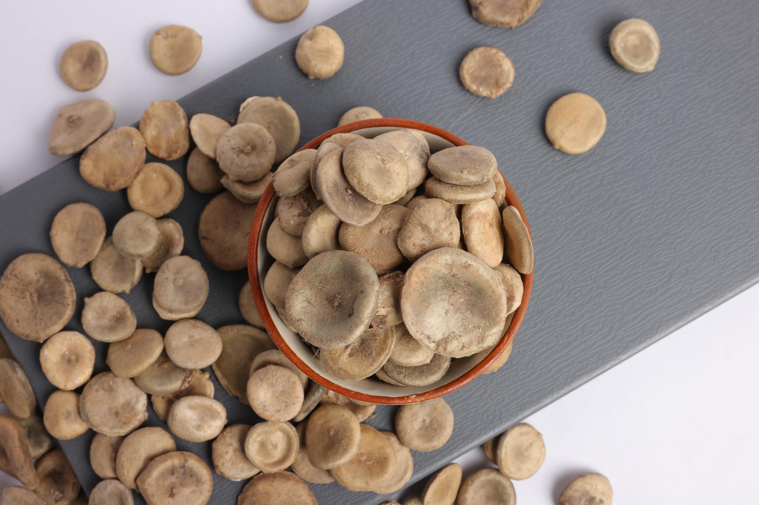 OGOC OGOC Organic Vomica (Kuchla) Seeds-Kanjira kuru |Kuchla Seeds |Nux Seed |Seeds for Traditional Use 100g