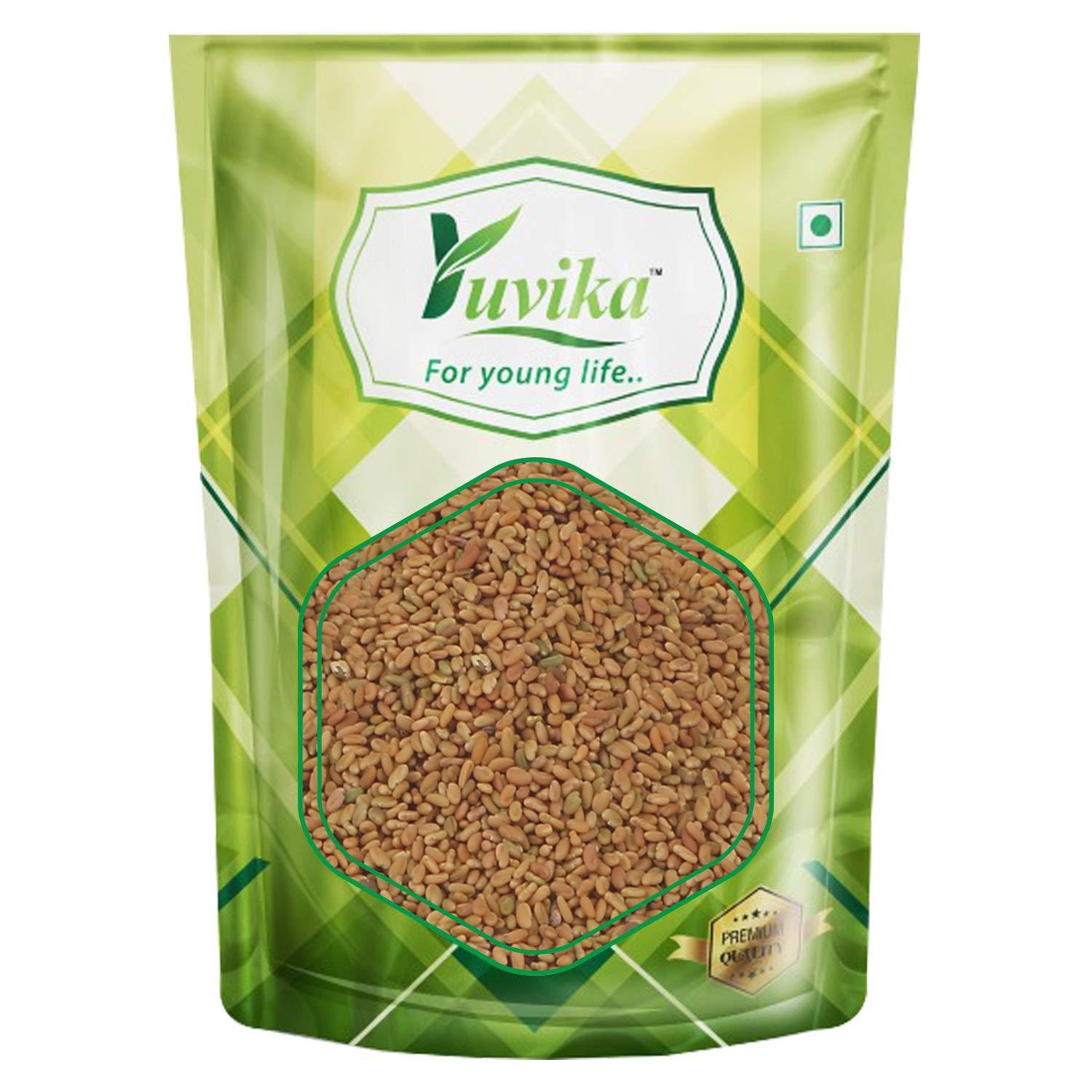 Yuvika YUVIKA Kasuri Methi Seeds - Champa Methi (100 Grams)
