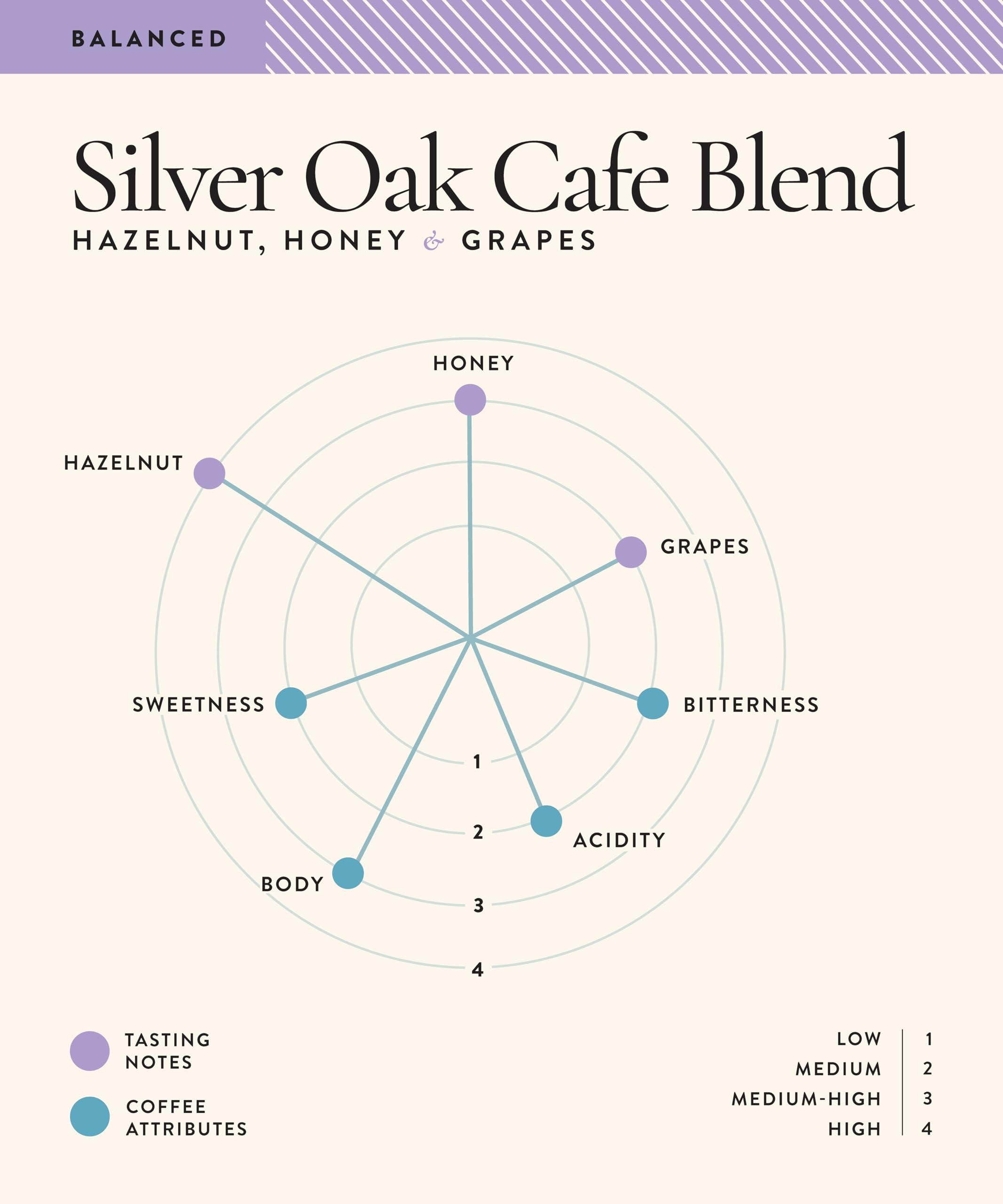 Blue Tokai Coffee Roasters Blue Tokai Coffee Roasters Silver Oak Cafe Blend - Medium Roast (Channi Grind) 1Kg | Made With 100% Specialty Grade Arabica Freshly Roasted Ground Coffee, Bag