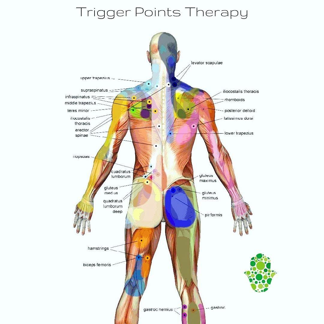 AB CRAFT AB CRAFT Wooden face massager (5x3 In) Wooden jimmy massager (5 In) Wooden Wooden 10 wheel Roller Massager Acupressure Back Massager set of 3