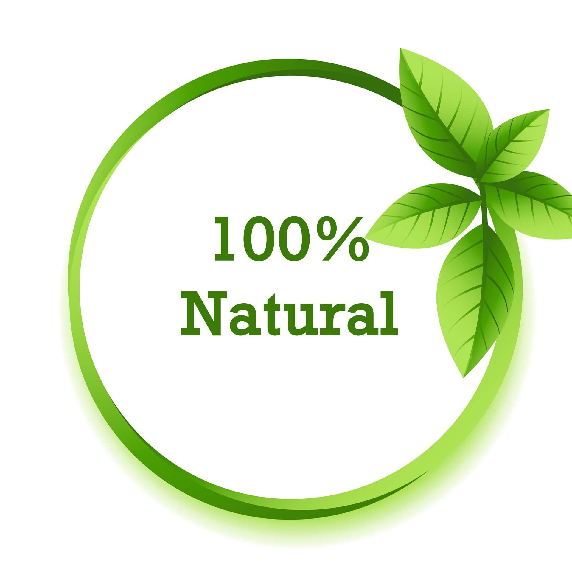 Triphal TRIPHAL Giloy/Guduchi Stem Powder Natural & Pure Gulvel (Tinospora Cordifolia) Stem Powder (400g - Pack of 1)